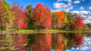 8 ways adventurers can see the best of Michigan this fall